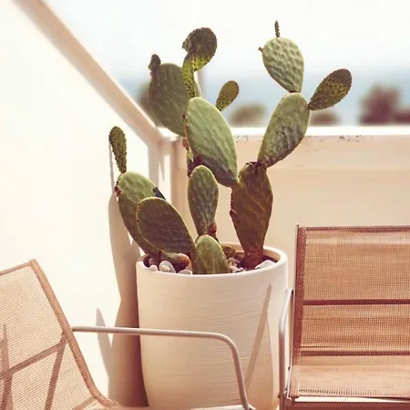 Apartamento Lamare Bari